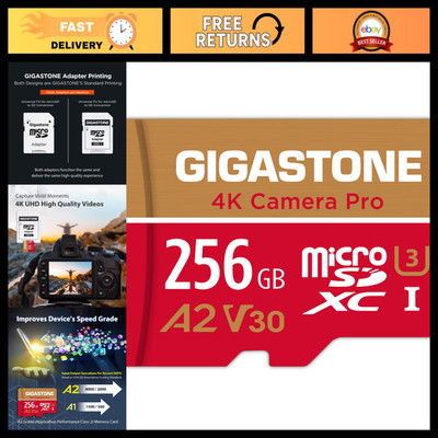 256GB Micro SD Card - 4K UHD, A2 V30, 100MB/s, Compatible with Smartphones, GoPr