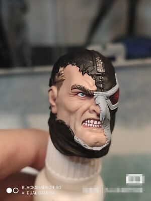 1/12 Comics Ver. Batman Bane Angry Head Carved Model Toys | eBay Australia