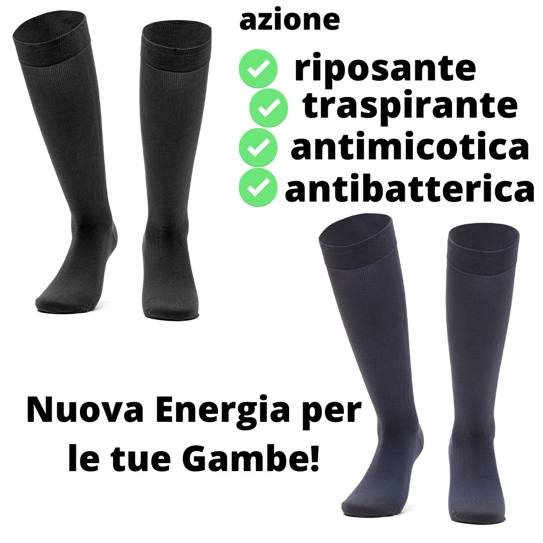 Imagen 6 de 7
