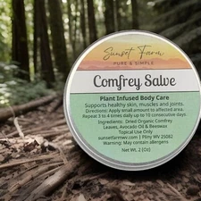 COMFREY SALVE ORGANIC HERBAL Ointment Joint Muscle Pain Relief Natural 2 oz U.S.