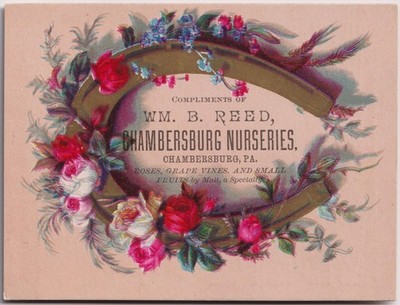 Victorian Trade Card Wm B Reed Chambersburg Pennsylvania Nurseries Roses 1880s