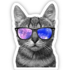 Cat Sunglasses Vinyl Sticker