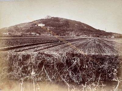 orig. Fotografie China Shanghai 1870 The Hills Missionare 42x32cm Tirage Albumen