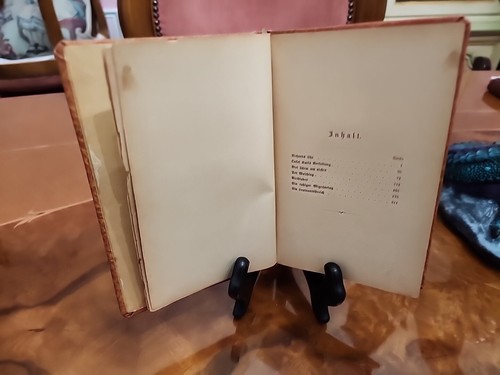 Sonnenstäubchen neue novellen German Hardcover 1902 - Picture 10 of 21
