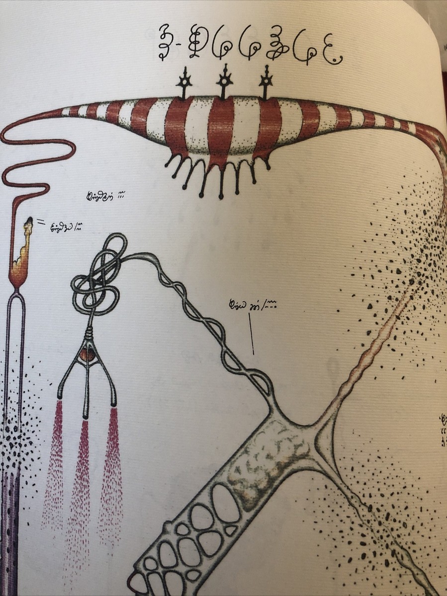 Luigi Serafini Codex Seraphinianus Print 123A 13
