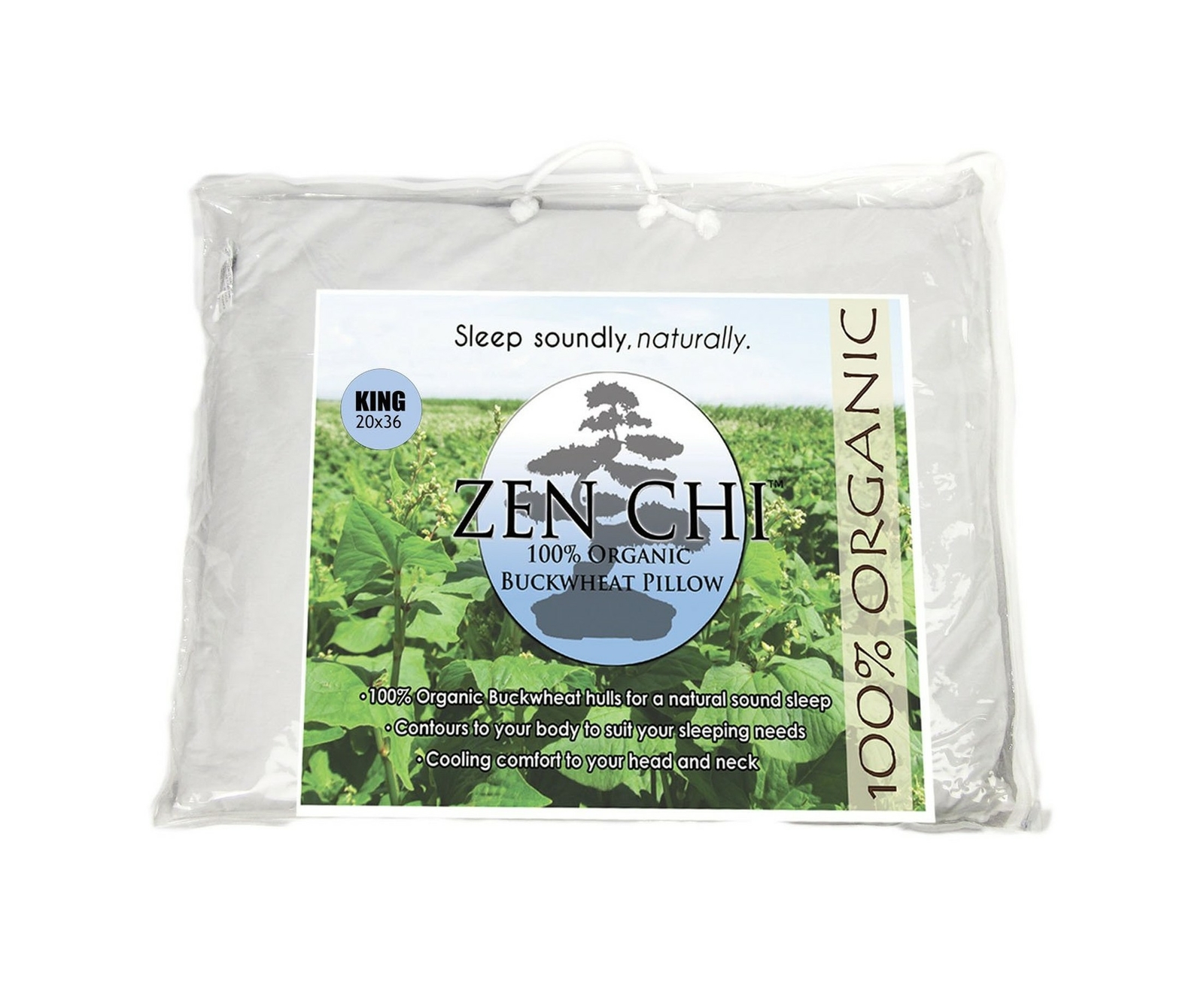 buckwheat wedge pillow