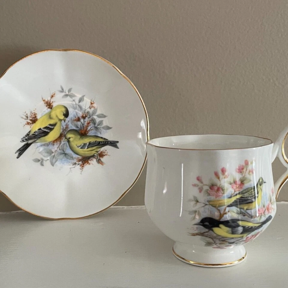 De colección Royal Dover Bone China, Inglaterra, taza de té y platillo, pájaros amarillos, rosa, floral Foto 4 de 4