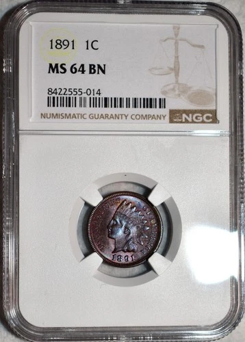 NGC MS-64 BN 1891 Indian Head Cent, Beautifully Toned specimen!