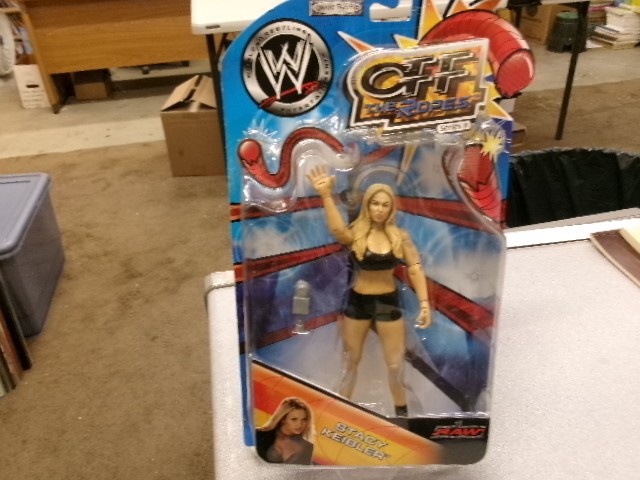 Stacy Keibler WWE Jakks unopened figure new, Very Good Toys And Games