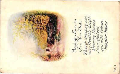 Vintage Postcard- Greeting, Hoping soon to see you out Posted 1910