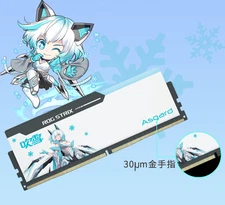 Asgard ×ASUS Strix DDR5 RGB RAM Memory 32 GB (16GBx2) CL28 6000 High performance