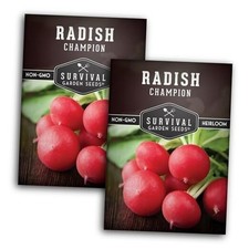 Champion Radish Seeds for Planting – Fast Growing Heirloom for Spring & Fall 2