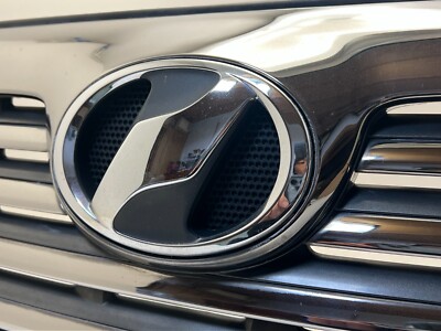 TOYOTA 20 series VELLFIRE Genuine front grill USED | eBay