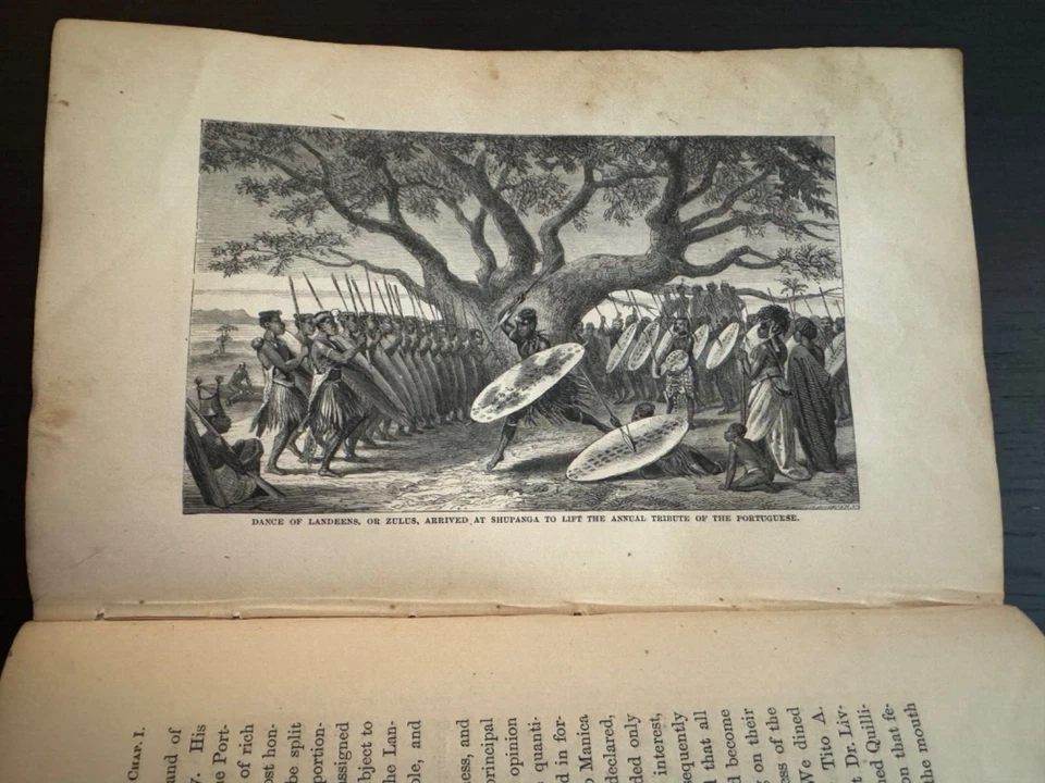 David Livingstone Narrative of an Expedition to the Zambesi 1st Amer Ed  1866 - Image 3 of 4