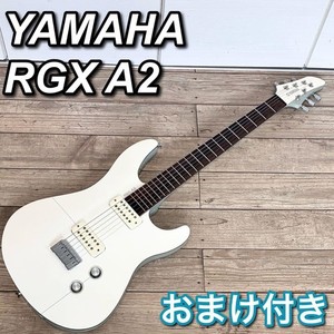 Rgx A2 | eBay