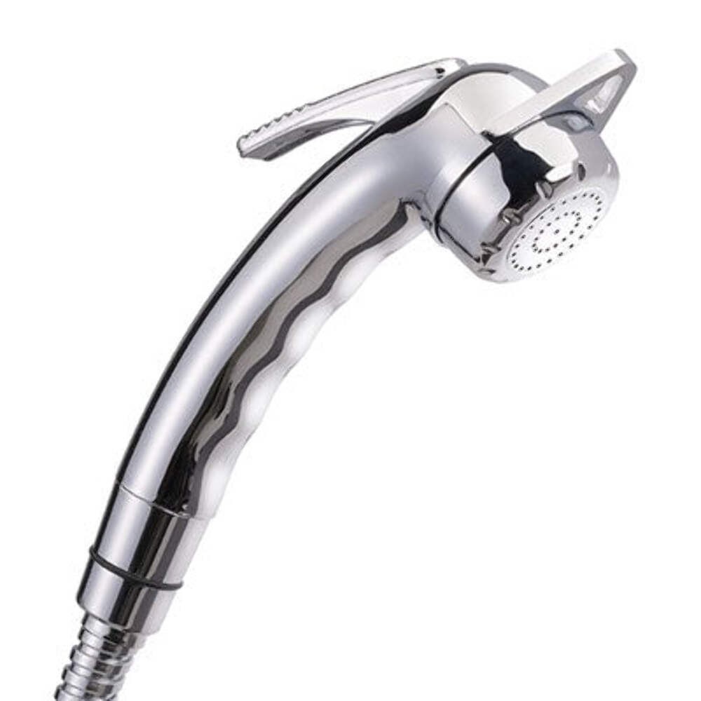 Reich Charisma Adjustable Shower Head