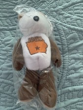 Limited Treasures Coin Bear Iowa 29th State Quarter 50 States Of America