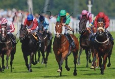 JIM CROWLEY HAND SIGNED 12X8 PHOTO PROHIBIT HORSE RACING AUTOGRAPH 1