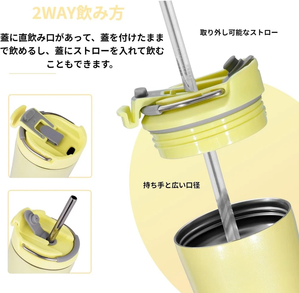 Tumbler 600ml Vacuum Insulated Thermal Insulated Stainless Steel Straw Direct Dr