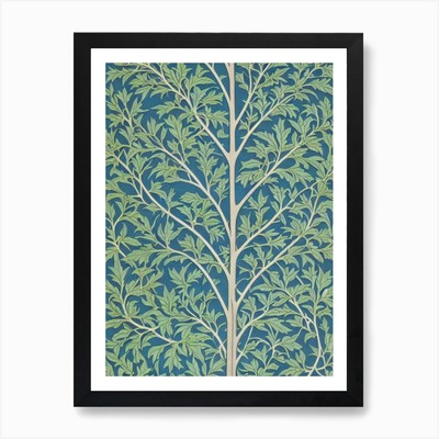 Leyland Cypress tree Vintage Botani Framed Wall Art Poster Canvas Print Picture
