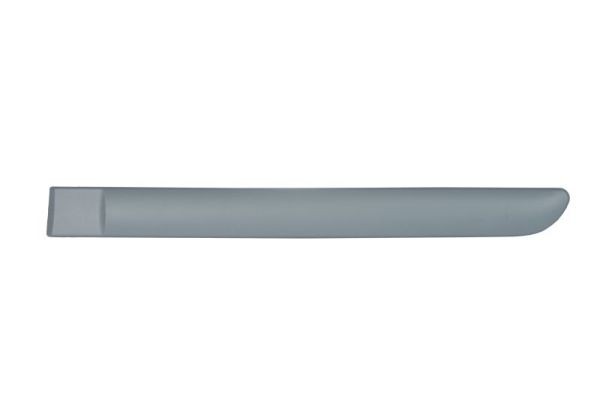 Left Rear BLIC 5703-04-0519577P Trim/Protection Strip, wing for CITROËN