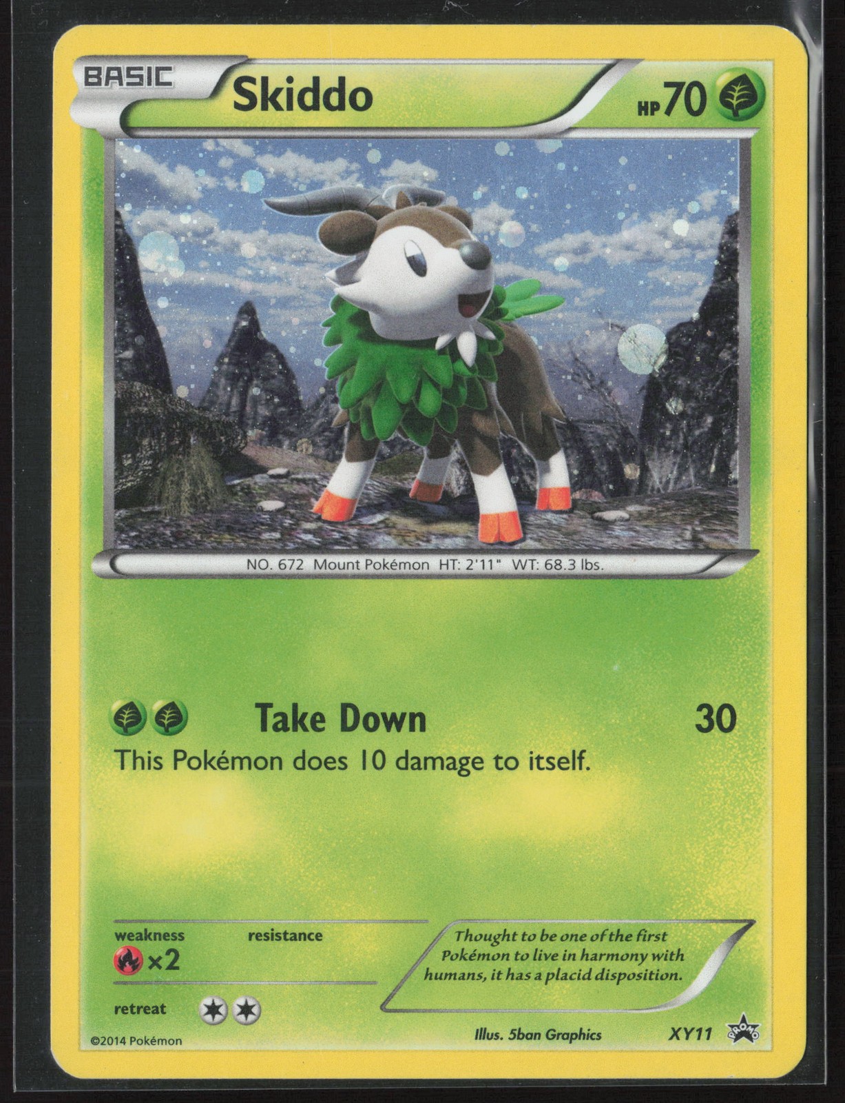 Skiddo - Promo XY Promos XY11 HP Pokemon Card