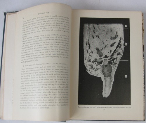 1903 Report of the Agricultural Experiment Station of Cornell University Ithaca - Picture 7 of 11