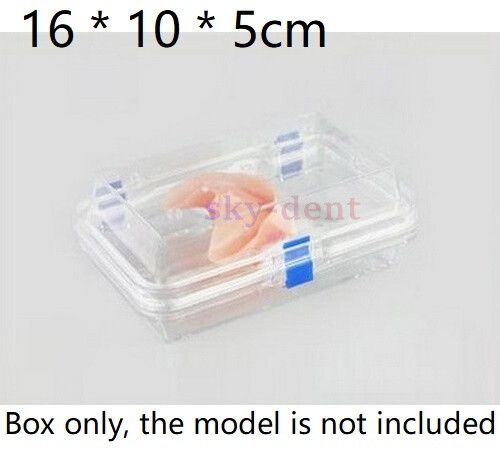 Dental Retainer Zahnersatz Aufbewahrungsbox Box Falsche Zähne Mundschutz Behälter mit Folie - Bild 6 von 33