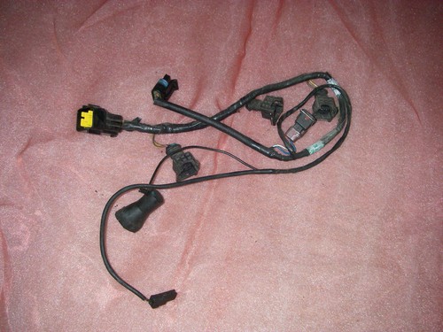 Kabelbaum für EINSPRITZDÜSEN EINSPRITZDÜSE TRIUMPH RS 955i SPRINT