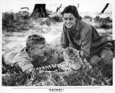 Hardy Kruger Elsa Martinelli in the grass with wild cat on locatio- Old Photo