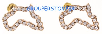 Africa Post Style Pierced Stud Rhinestone Earrings New Style