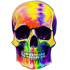 Skull Sticker Decal