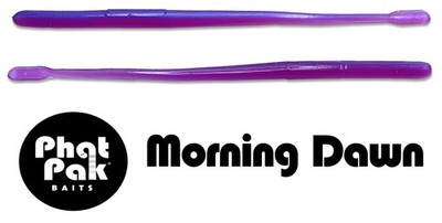 Roboworm Style Drop Shot Finesse Straight Tail Worm Bass Fishing Lure 30ct 6''