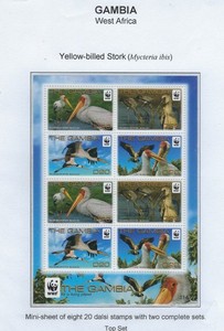 Gambia / 2011 / #3381 / WWF / Yellow-billed Stork / Mini-sheet of 8 / MNH /105-2