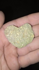 Heart Shaped Limestone Crinoid Fossil Death Plate Hash