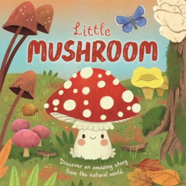 Little Mushroom by Autumn Publishing (Board book)