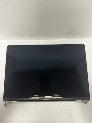 OEM Apple MacBook Pro A2141 2019 16'' LCD Screen Display Silver Gray Tested