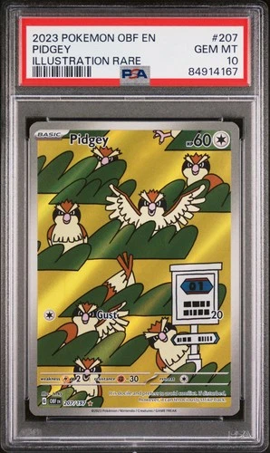 2023 POKEMON OBF EN-OBSIDIAN FLAMES ILLUSTRATION RARE #207 PIDGEY PSA 10