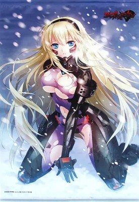 Sofmap Avex Pictures Schwarzesmarken Irisdina Bernhard B2 Tapestry Blu-ray Bonus