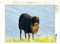 Calvendo Puzzle Schwarzes Schaf Auf Helgoland | 1000 Teile Lege-GrößE 64 × 48 Cm