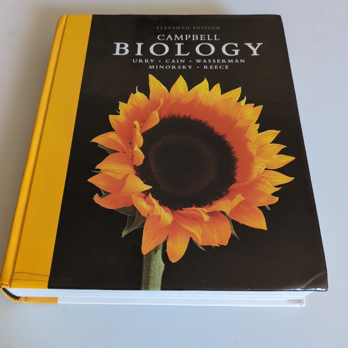 英語版キャンベル生物学　Cambell Biology 11th edition Campbell Biology by Michael L. Cain, Jane B. Reece, Lisa A