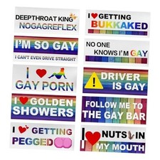 10PCS Bumper Decals Funny LGBT Stickers, Rainbow Bumper Prank Magnetic, Style 2