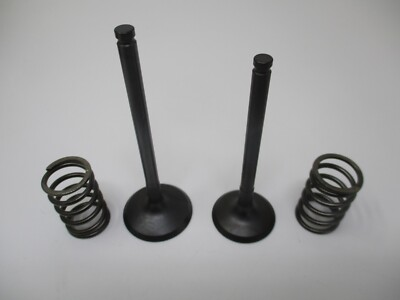 #ad #ad Genuine Kawasaki 12005 0777 Exhaust 12004 0733 Intake Valves Springs 49078 7002 $66.99