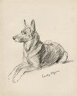 German Shepherd Dog Old 1937 Dog Art Print Page by Mac Lucy Dawson