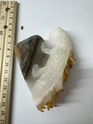 240g Natural crystal mineral specimens hand carved  lizard reiki healing — photo 6