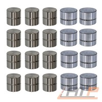 20X HydrostÖSsel VentilstÖSsel Satz SET FÜR Seat Ibiza 3 6K 4 6L 1.8 T BJ 00-08