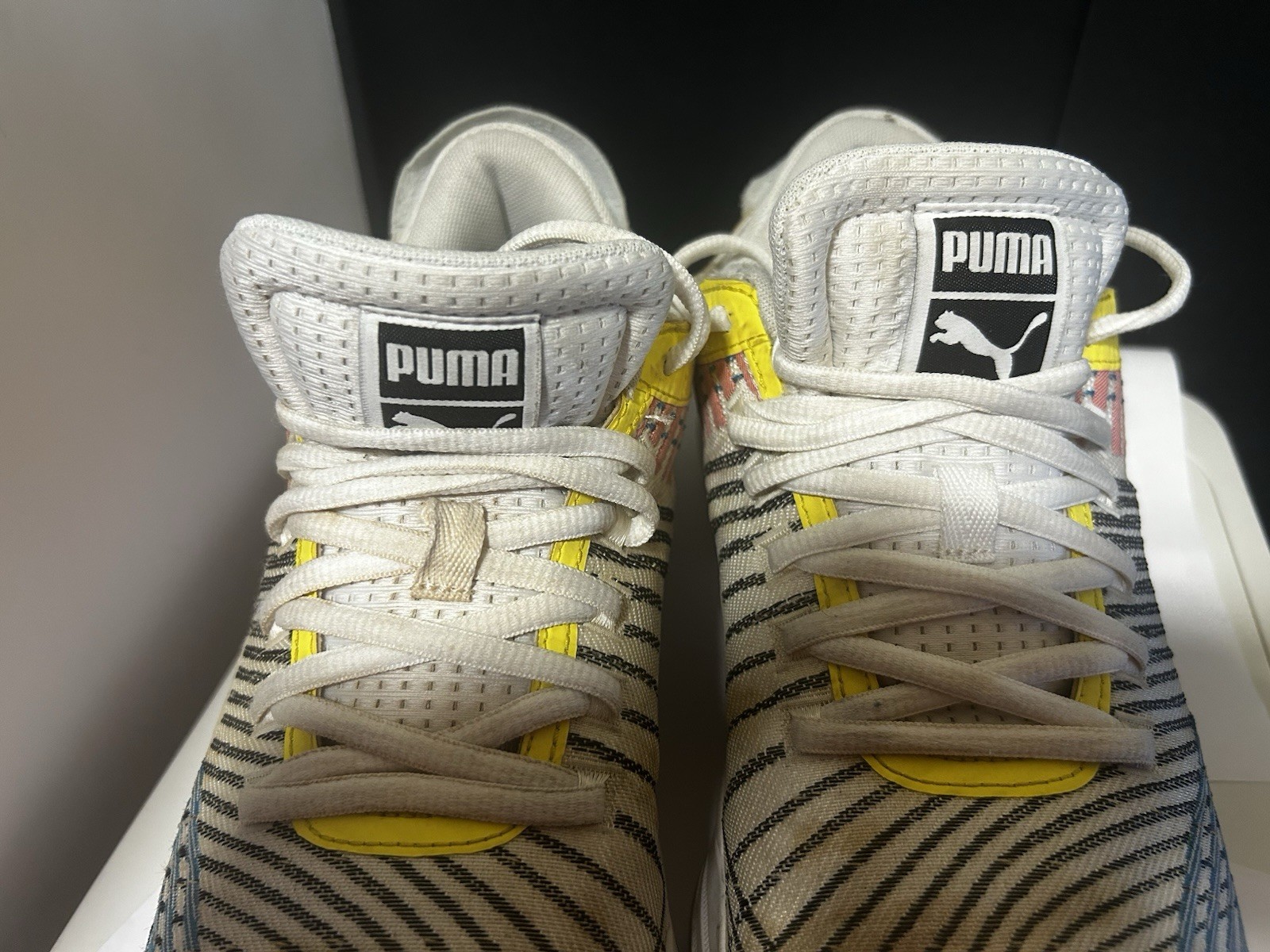 Puma-image