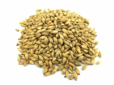 Whisky Malz ungeschrotet 1 kg Bier brauen Hobbybrauer