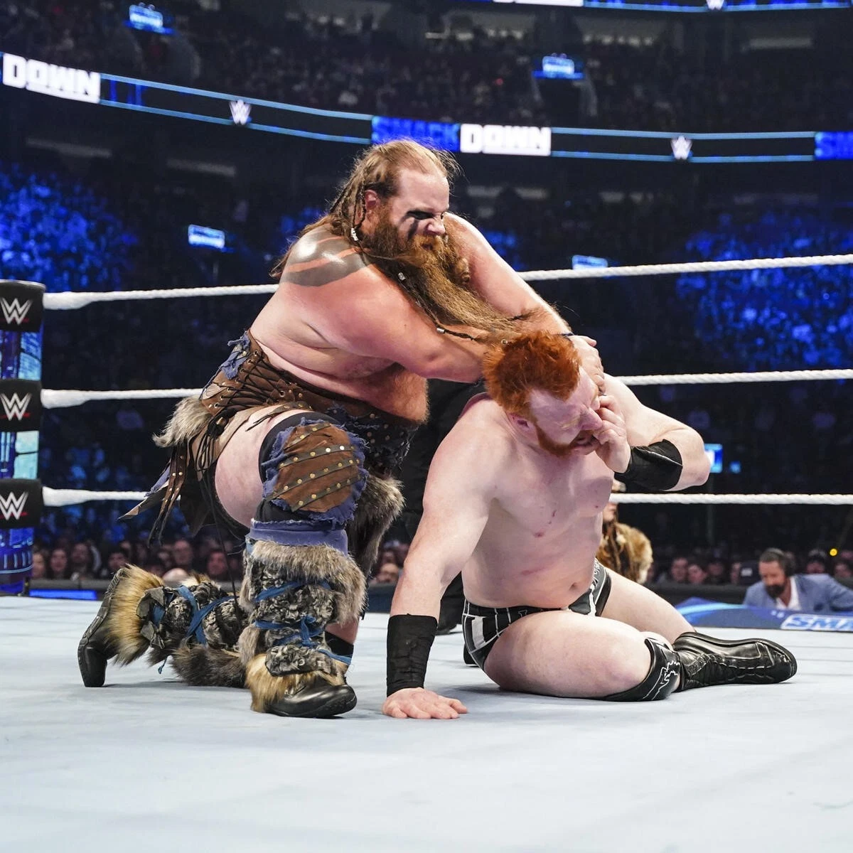 Viking raiders on sale wwe