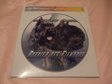 1 autocollant - motif chien  BOUVIER DES FLANDRES